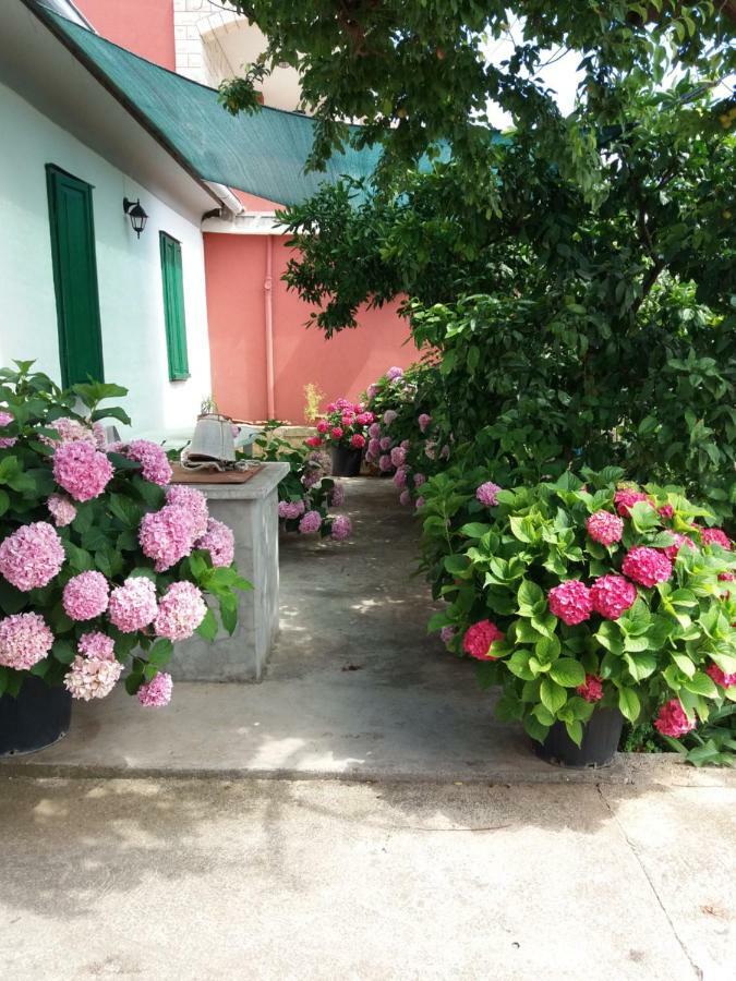 Apartmani Ana Bibinje Extérieur photo