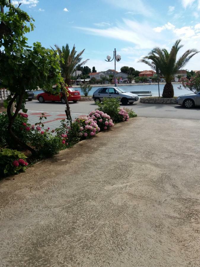 Apartmani Ana Bibinje Extérieur photo