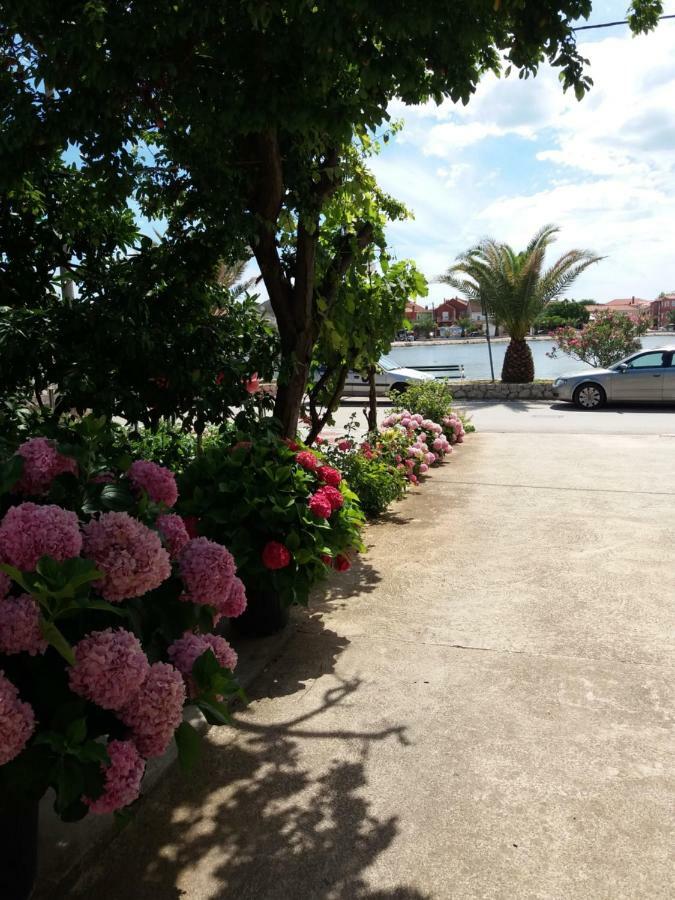 Apartmani Ana Bibinje Extérieur photo